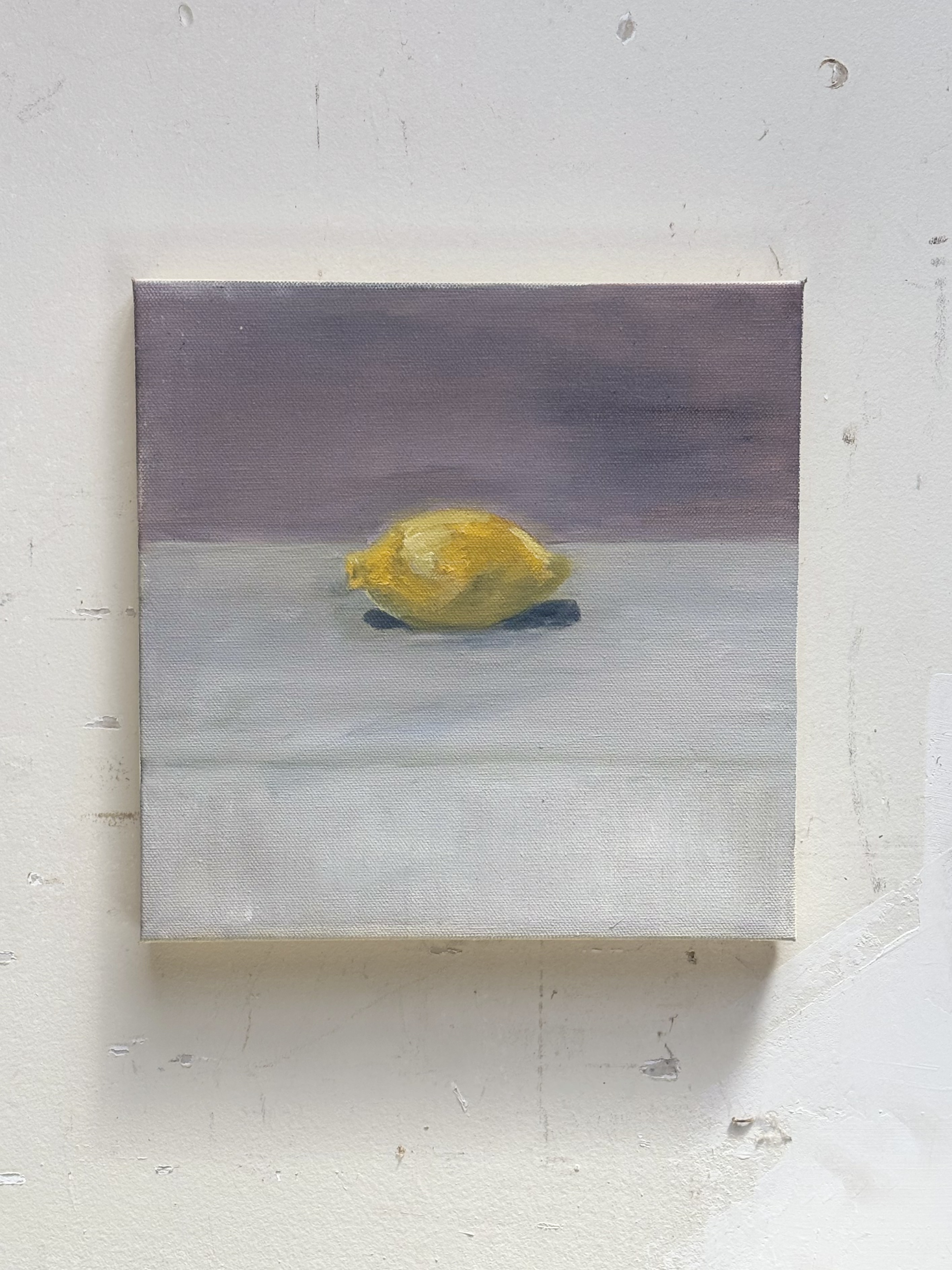 Lemon Still Life, 2025
